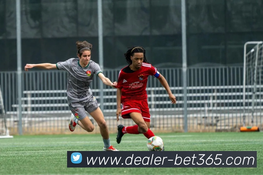 bet365平台生态图